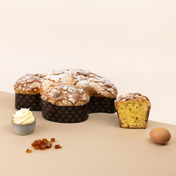 Colomba classica