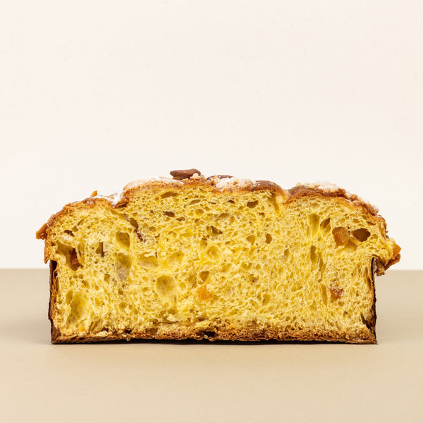 Colomba classica